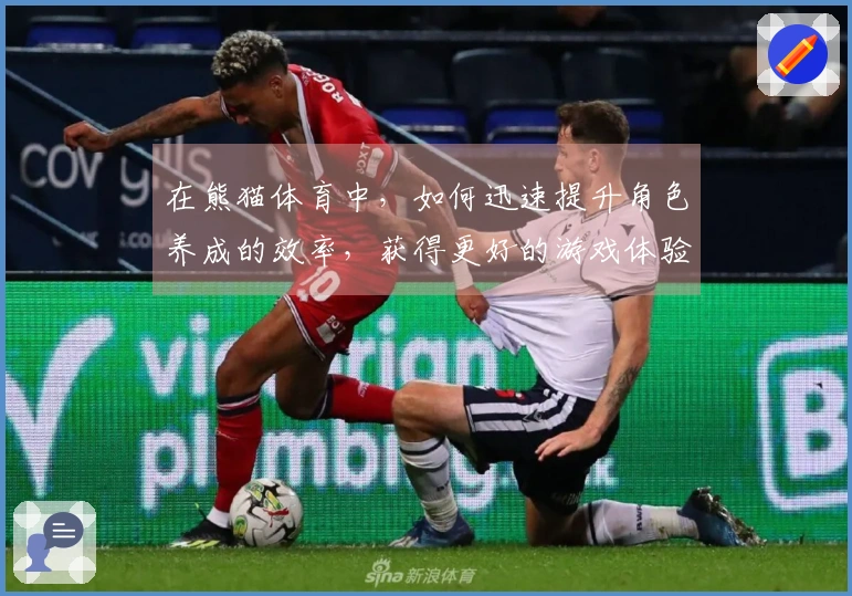 在熊猫体育中，如何迅速提升角色养成的效率，获得更好的游戏体验？